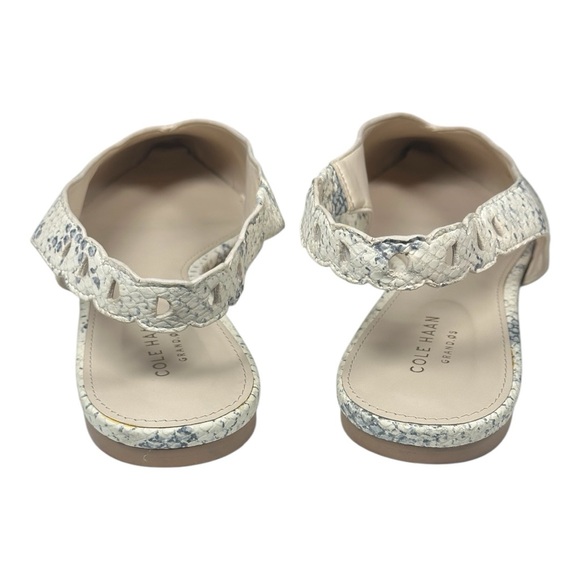 Cole Haan Snakeprint Slingback Pointed Toe Flats Merrit Skimmer Women’s size 11B - Picture 3 of 14